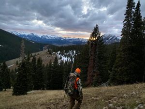 Colorado Elk Hunting Tips | Crested Butte + Gunnison