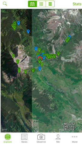 RMBL inaturalist map image