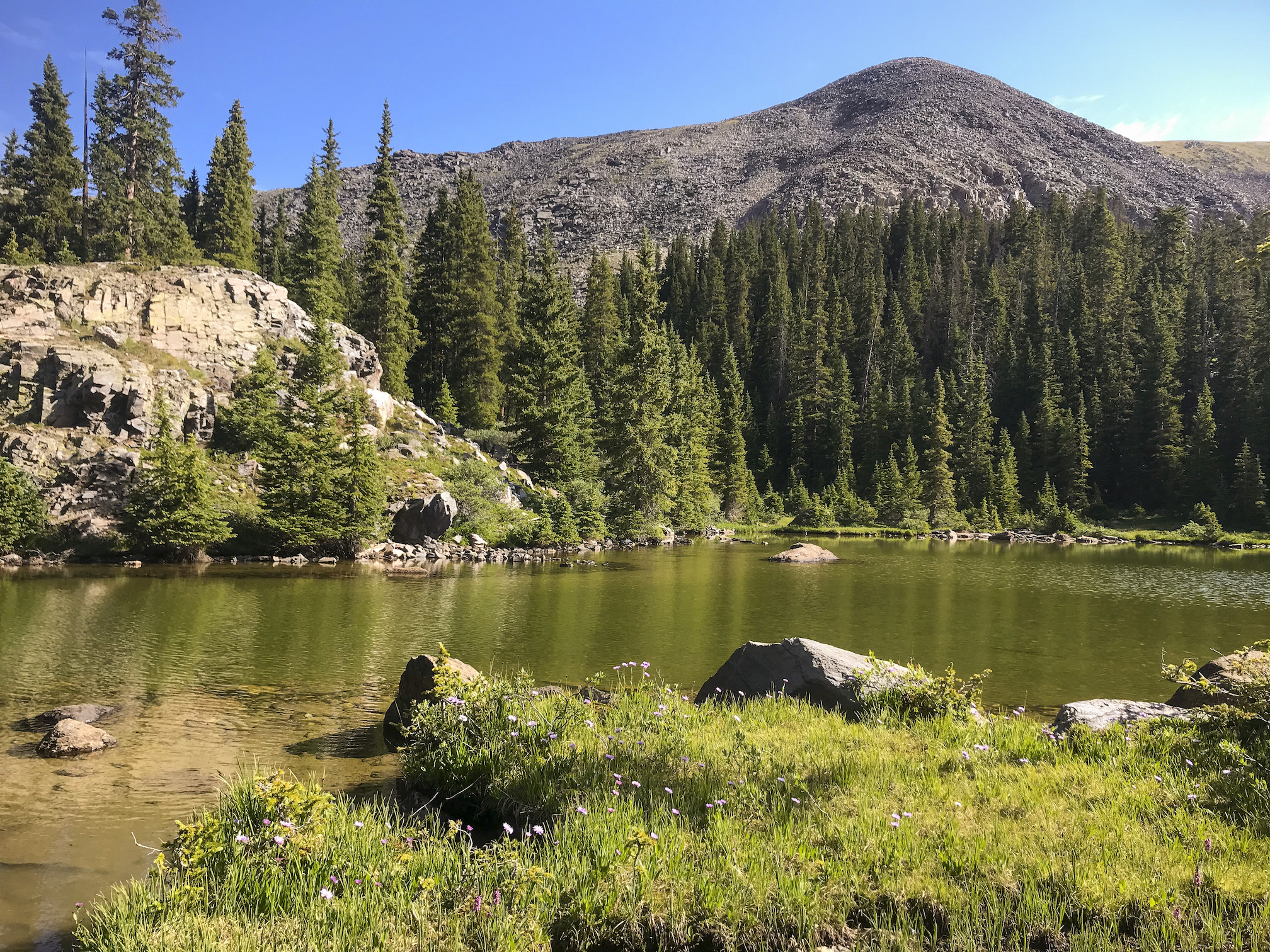 Lamphier lake in fossil ridge in gunnison, colorado. An alpine lake with a mountain peak and trees lining in.