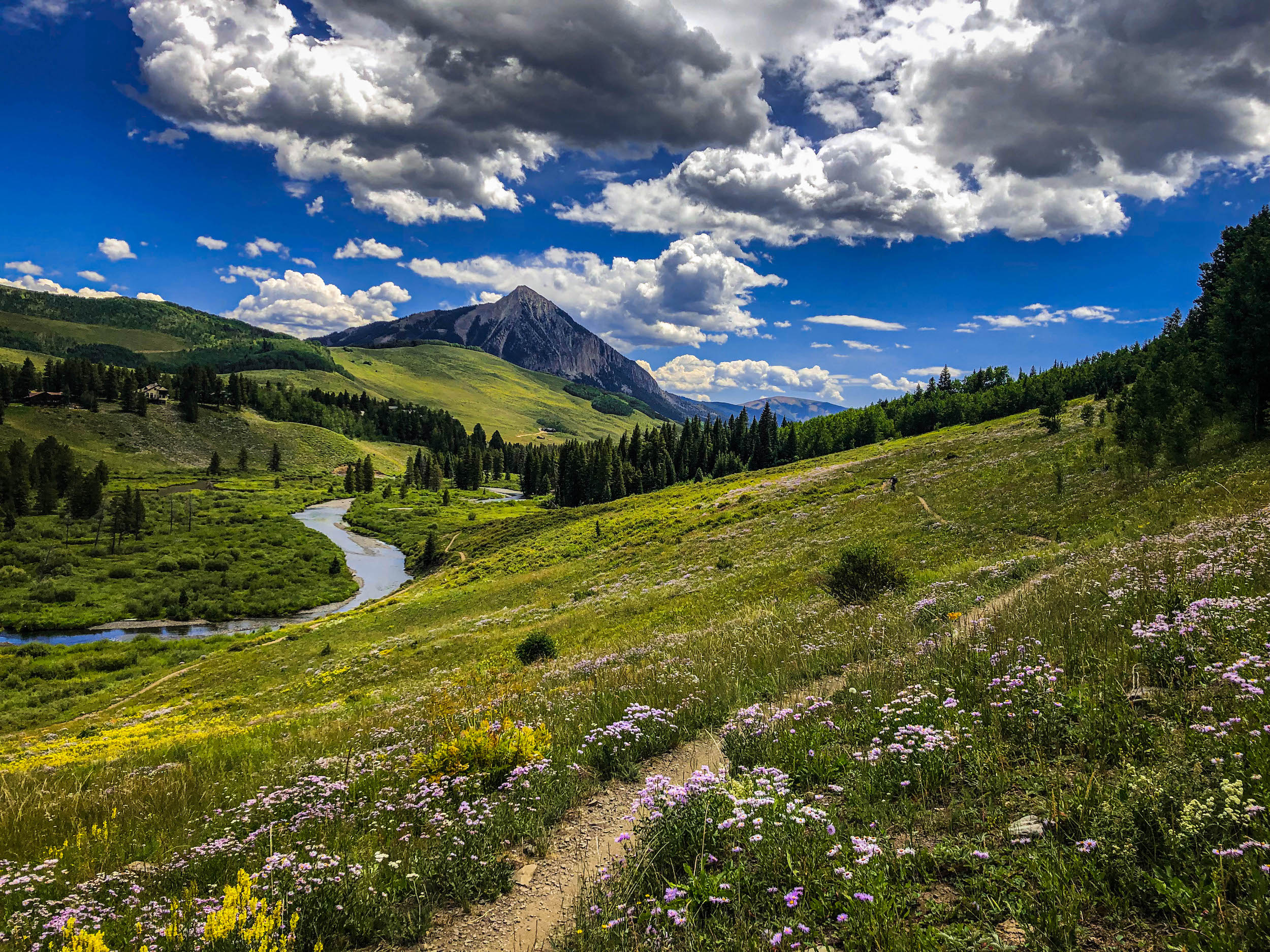 a trail through a meadow with a mountain peak in the background. This is a hiking trail called Lower Loop