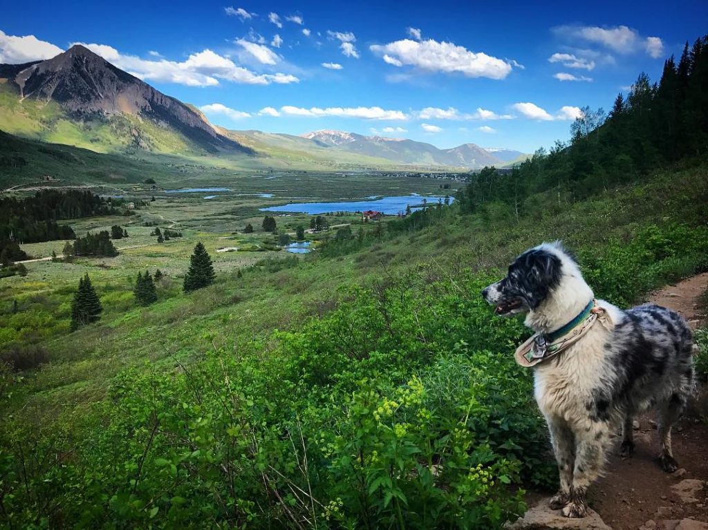 lower loop trail crested butte
