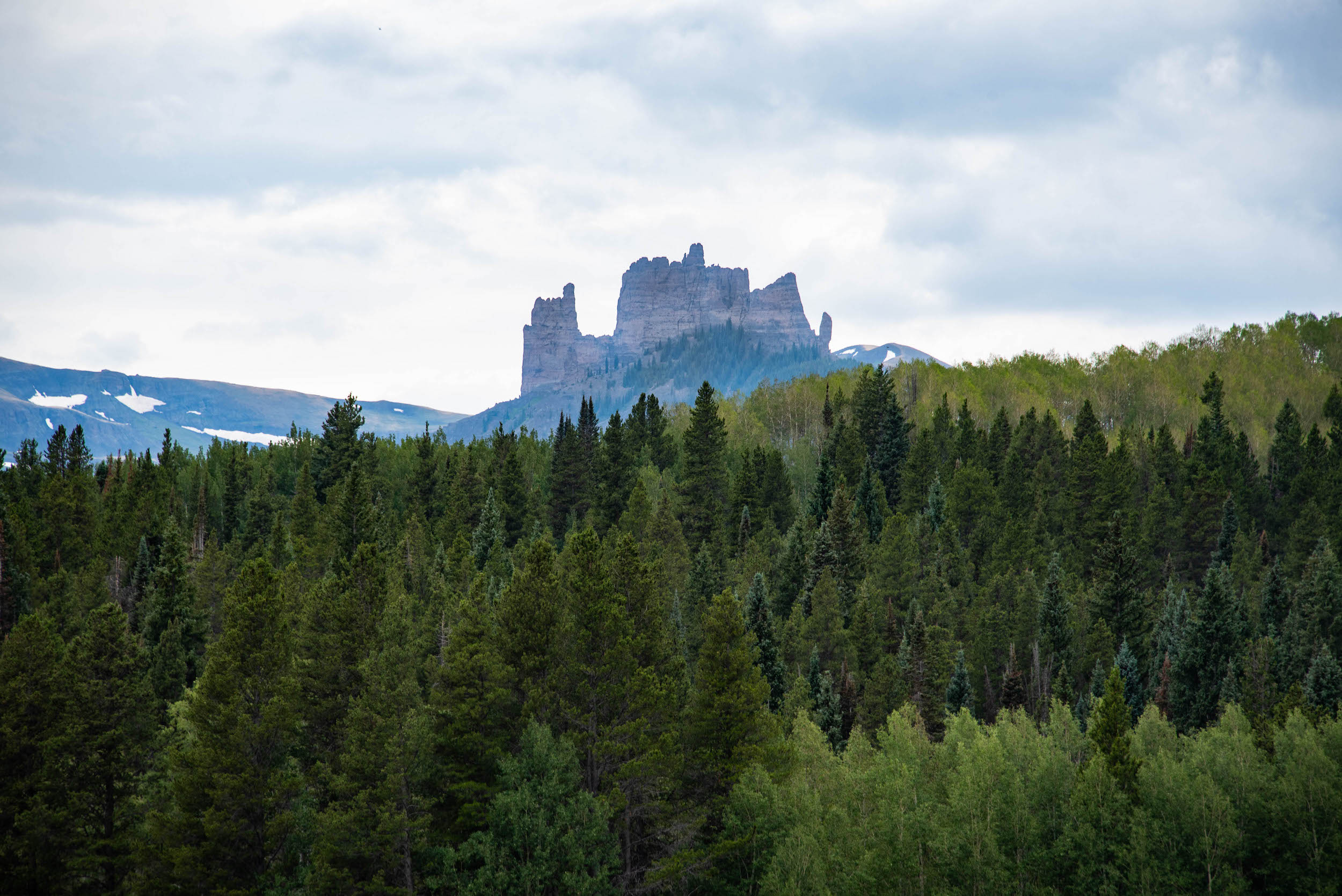 A jagged rock formation that looks like a Castle behind a grove of trees