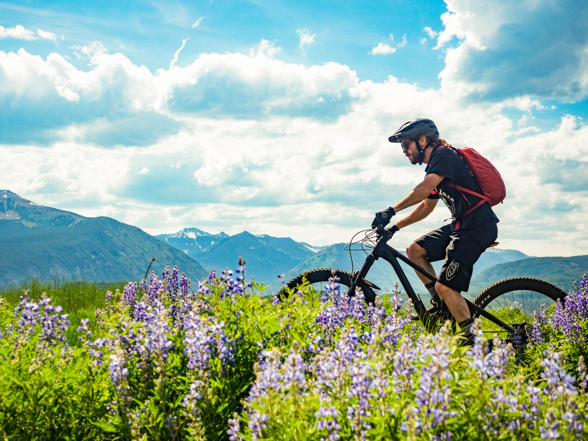 A person rides a bike in a field of wildflowers