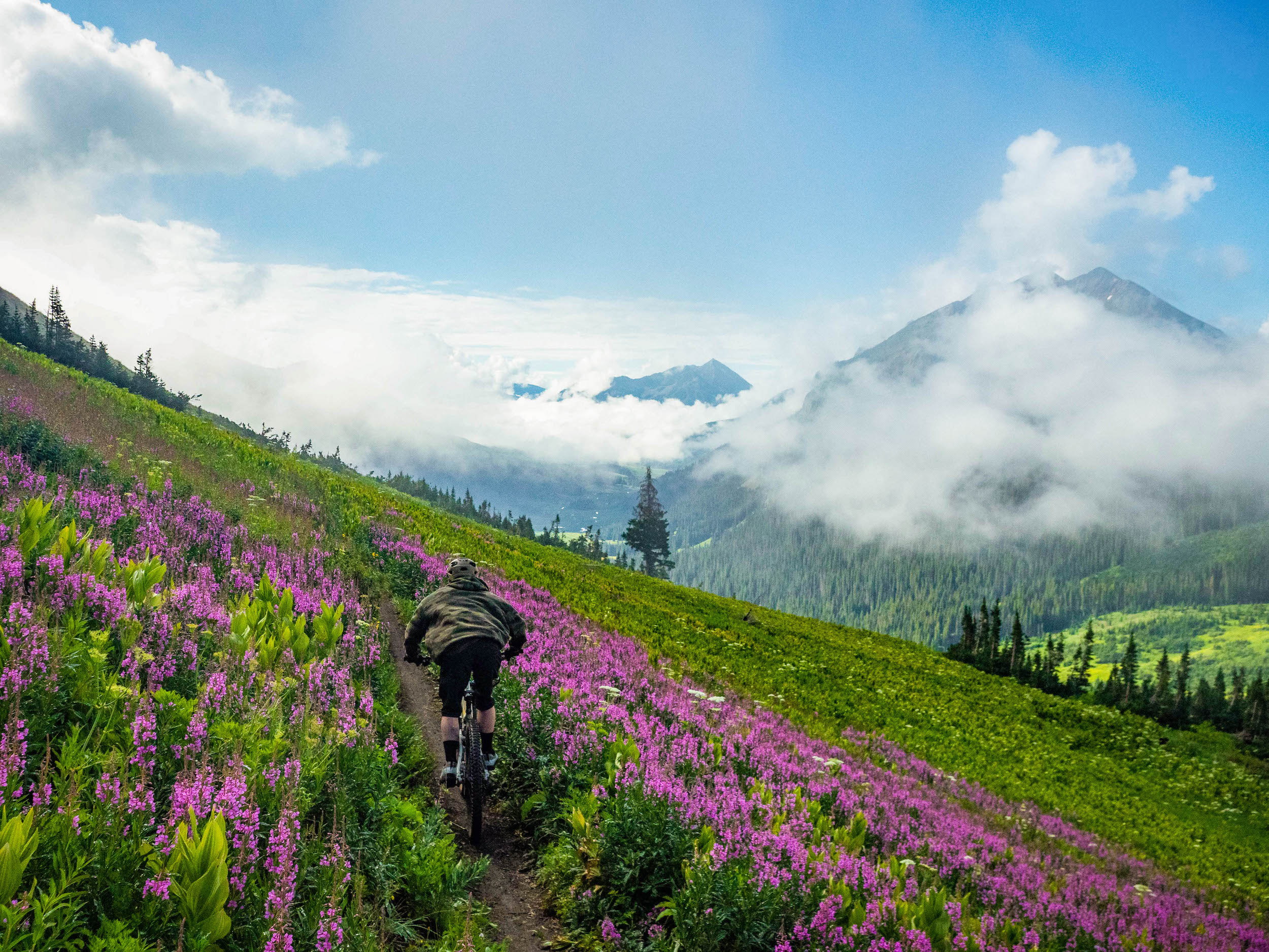 A man riding a mountain bike through a field of wildflowers with a cloud-shrouded mountain peak in the background. This man is mountain biking in Crested Butte, Colorado 