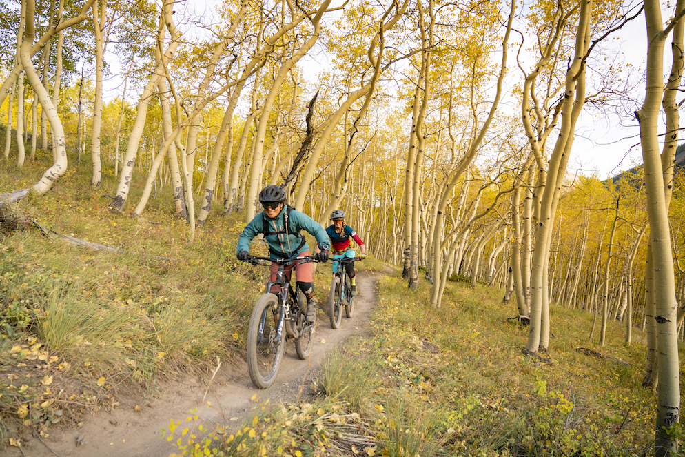 Two female mountain bikers ride a singletrack trail through golden colored aspen leaves