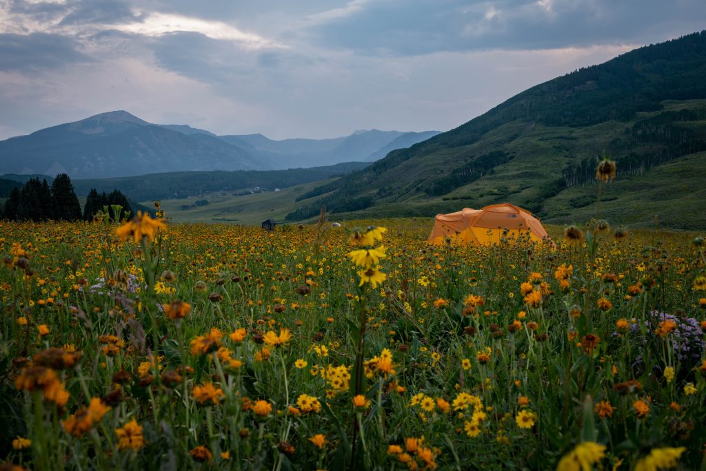 mt-crested-butte-free-tent-campground