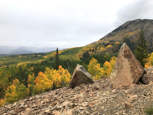 Fall colors on Ohio Pass aspen leaves