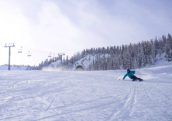 carving turns down paradise bowl