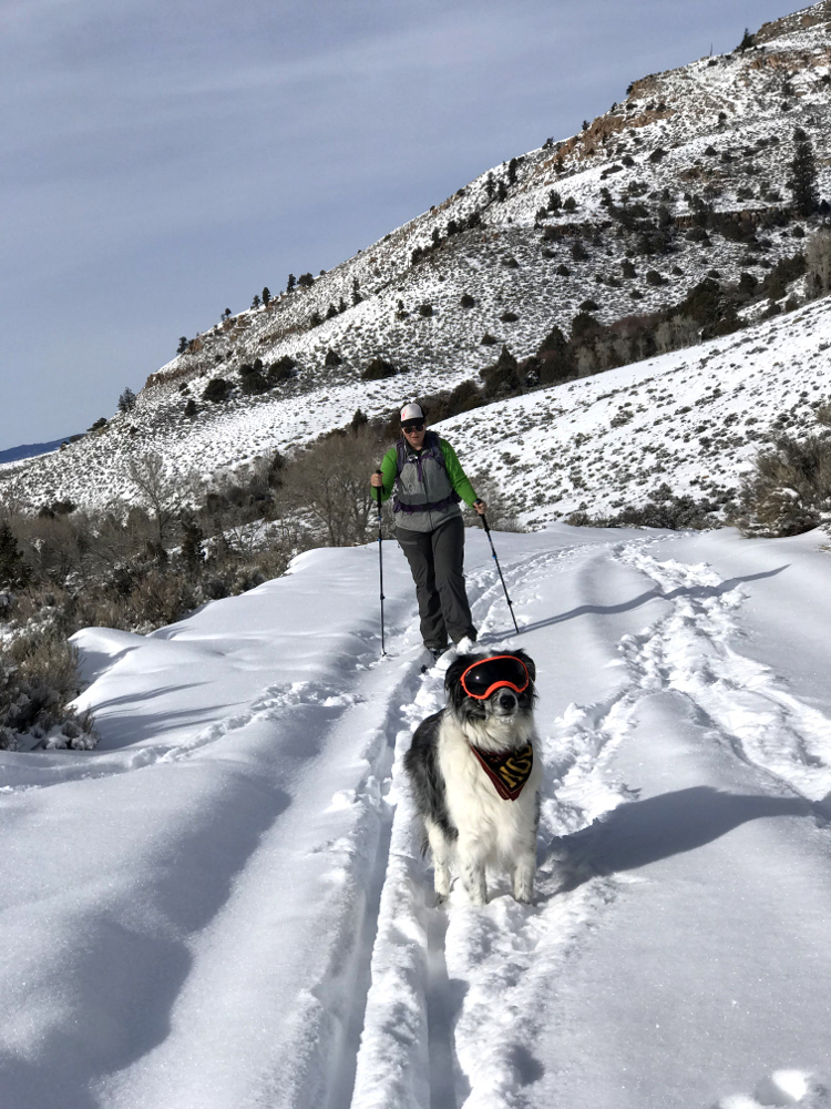 XC ski trails around Pole and Willow Creek Gunnison, Colorado