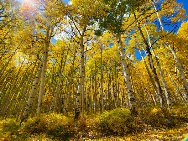 Rainbow lake road color and scenery in autum 