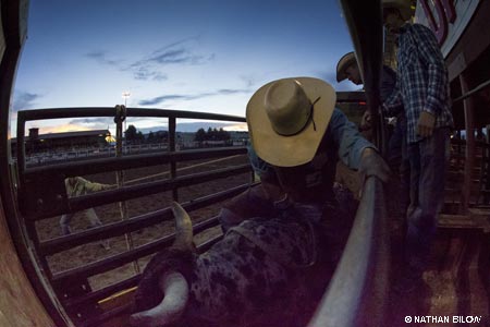 Cattlemen's Days in Gunnison