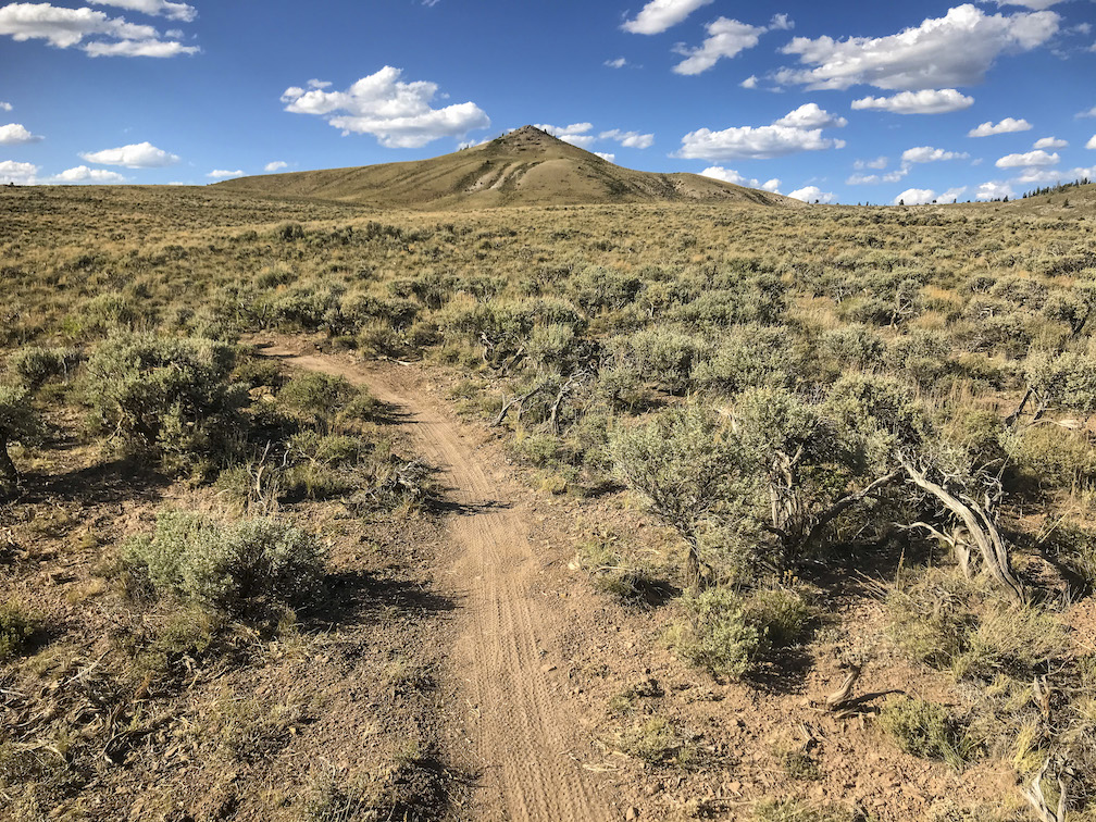 A dirt trail in the middle of sage brush with a pointy mountain peak in the background