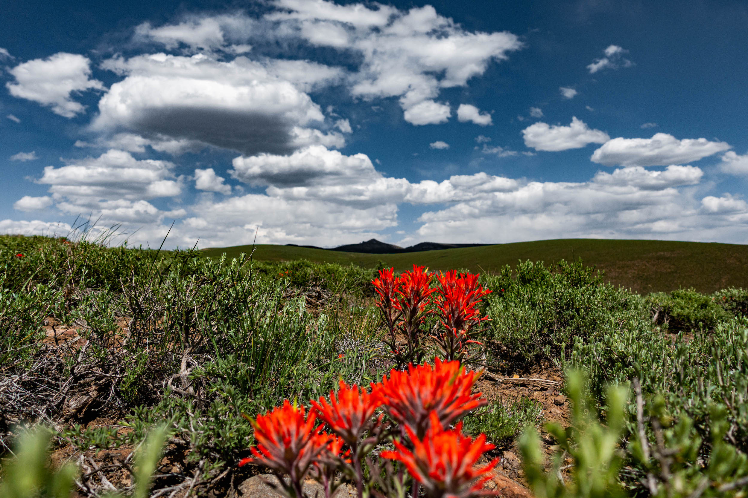 a hiking trail on signal peak