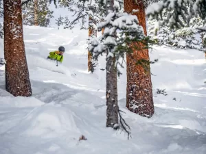 Skiing the trees in Teocalli Bowl at Crested Butte.