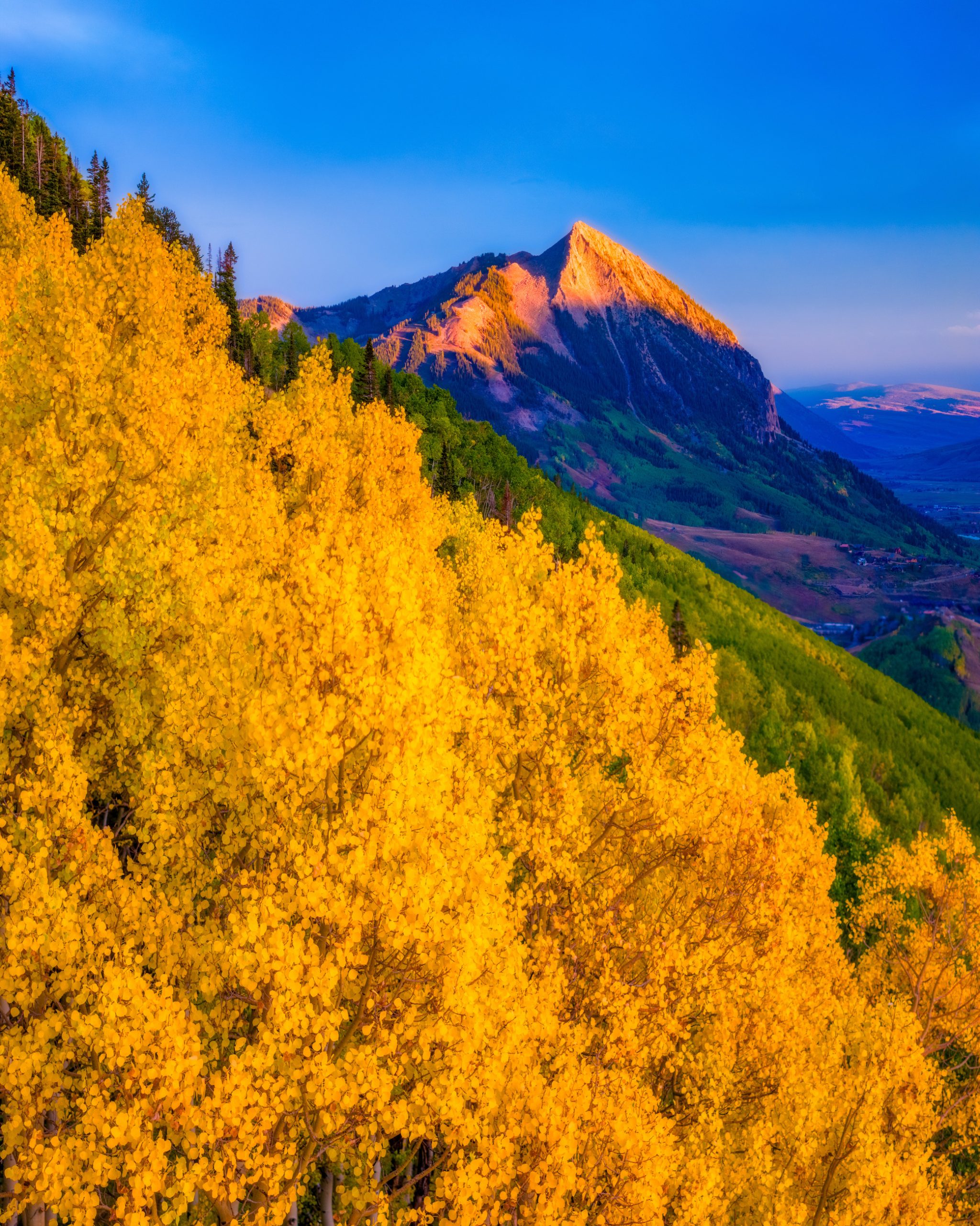 fall leaves with a sun-lite mountain peak in the background. snodgrass crested butte fall 