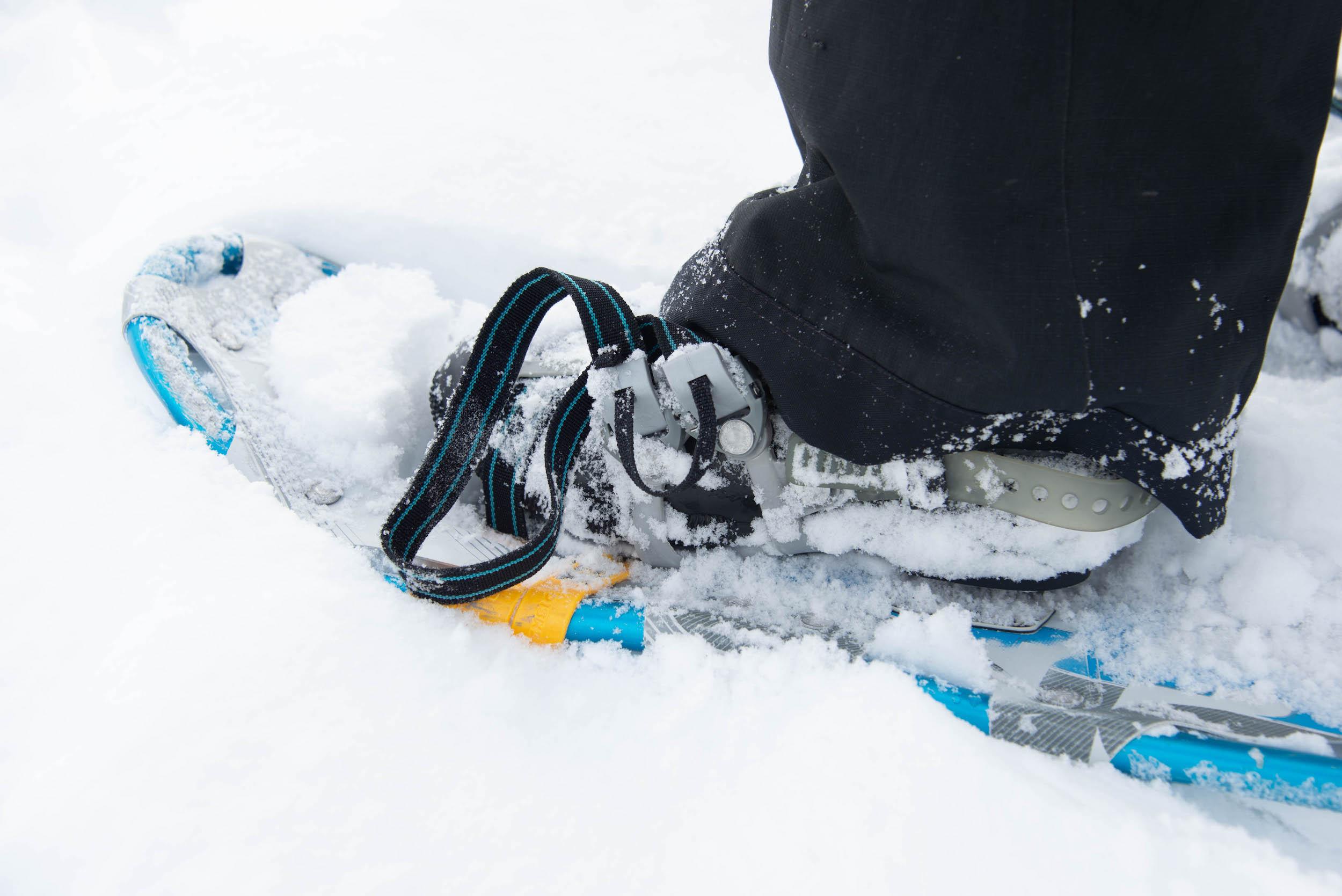 Snowshoeing in Crested Butte and Gunnison Guide