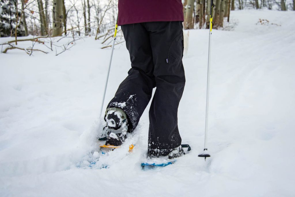 The legs of a snowshoer walking on snow