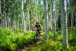 A mountain biker smiles as they ride through aspen trees in the Strand Hill trail system.