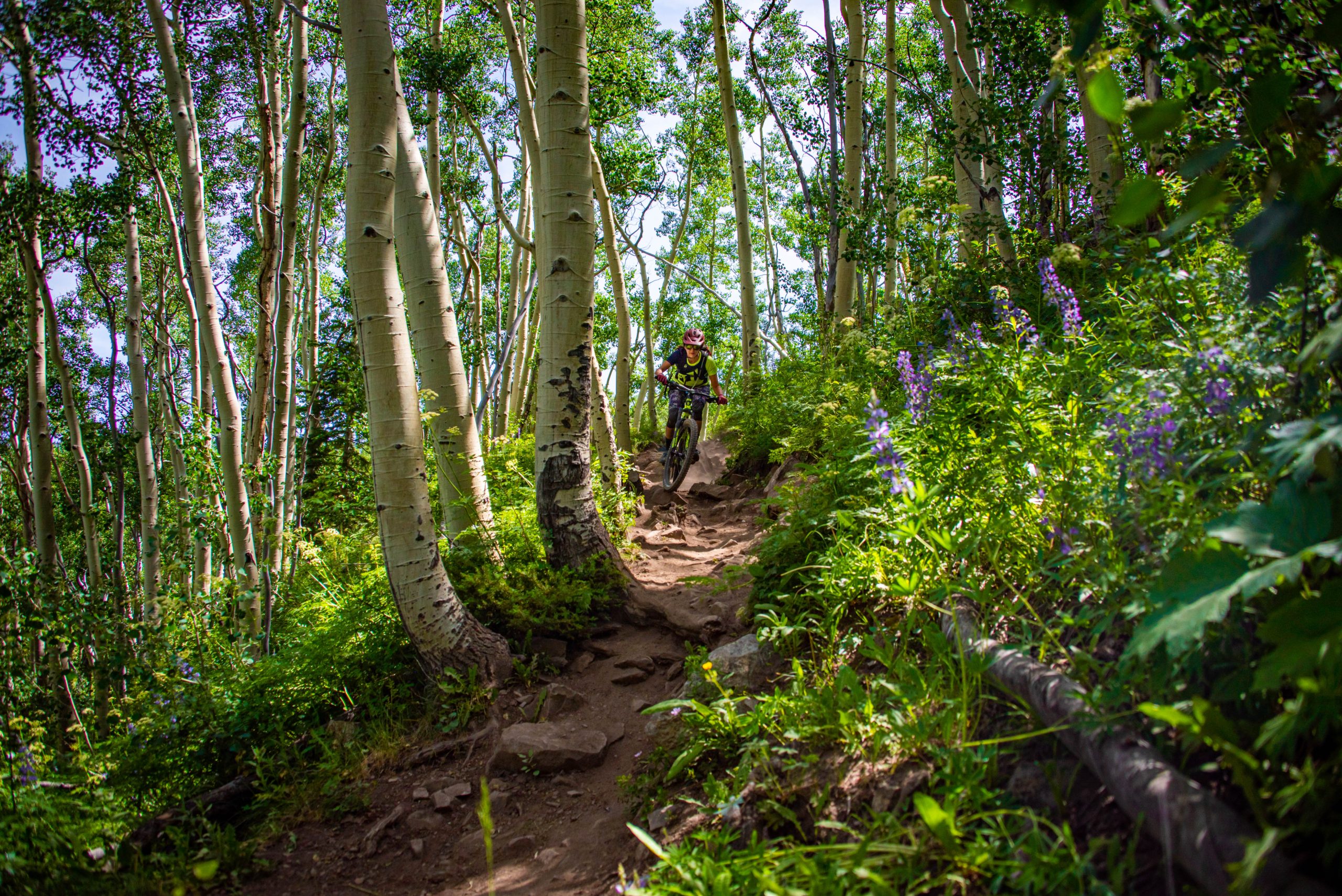 Brush Creek Mountain Biking Trails | Crested Butte + Gunnison