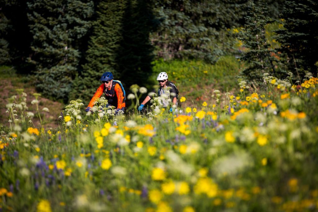 summer-mountain-biking-crested-butte-colorado