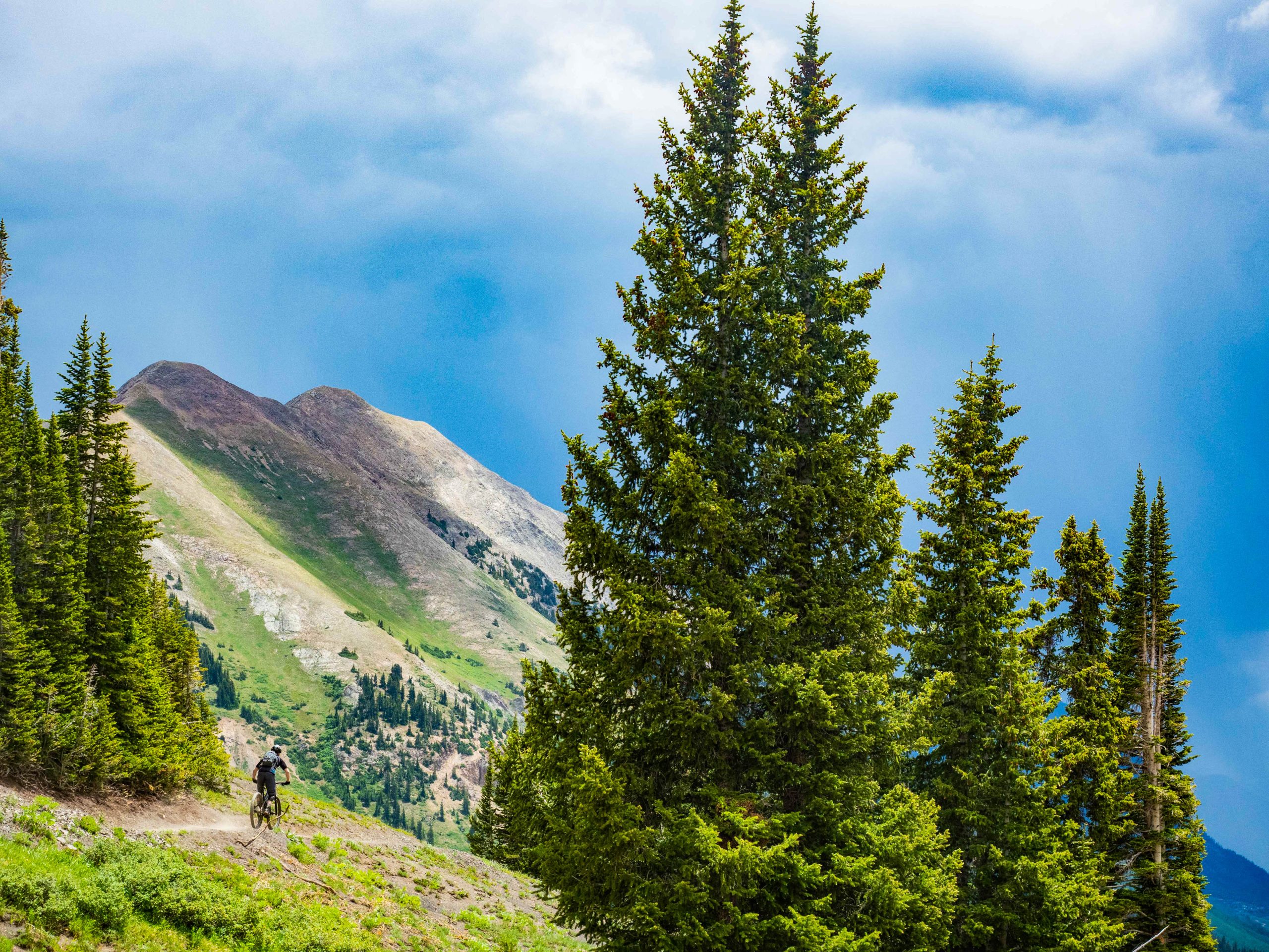 bmo crested butte