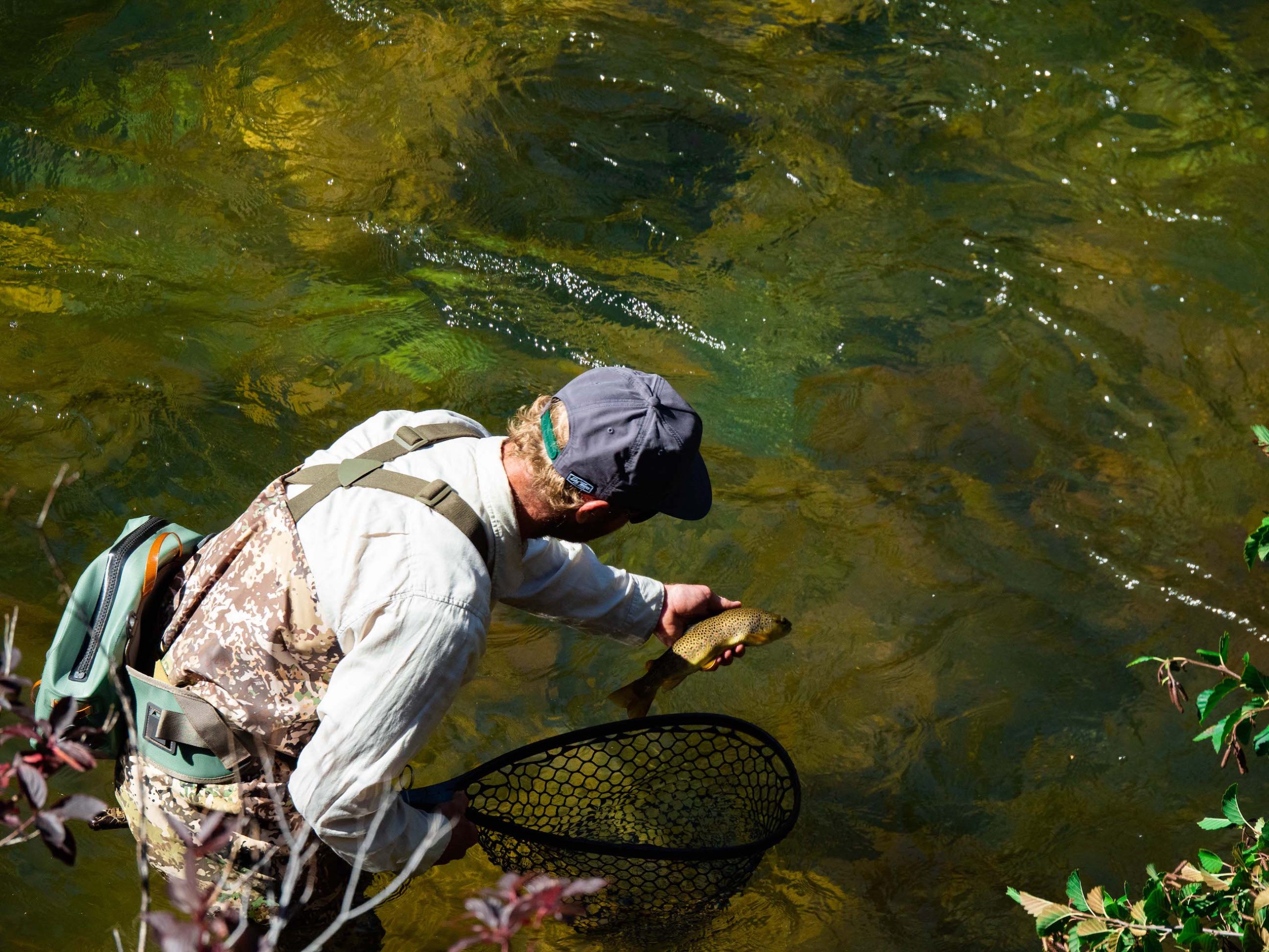 A man releasing a fish back into the river while fly fishing on the taylor river