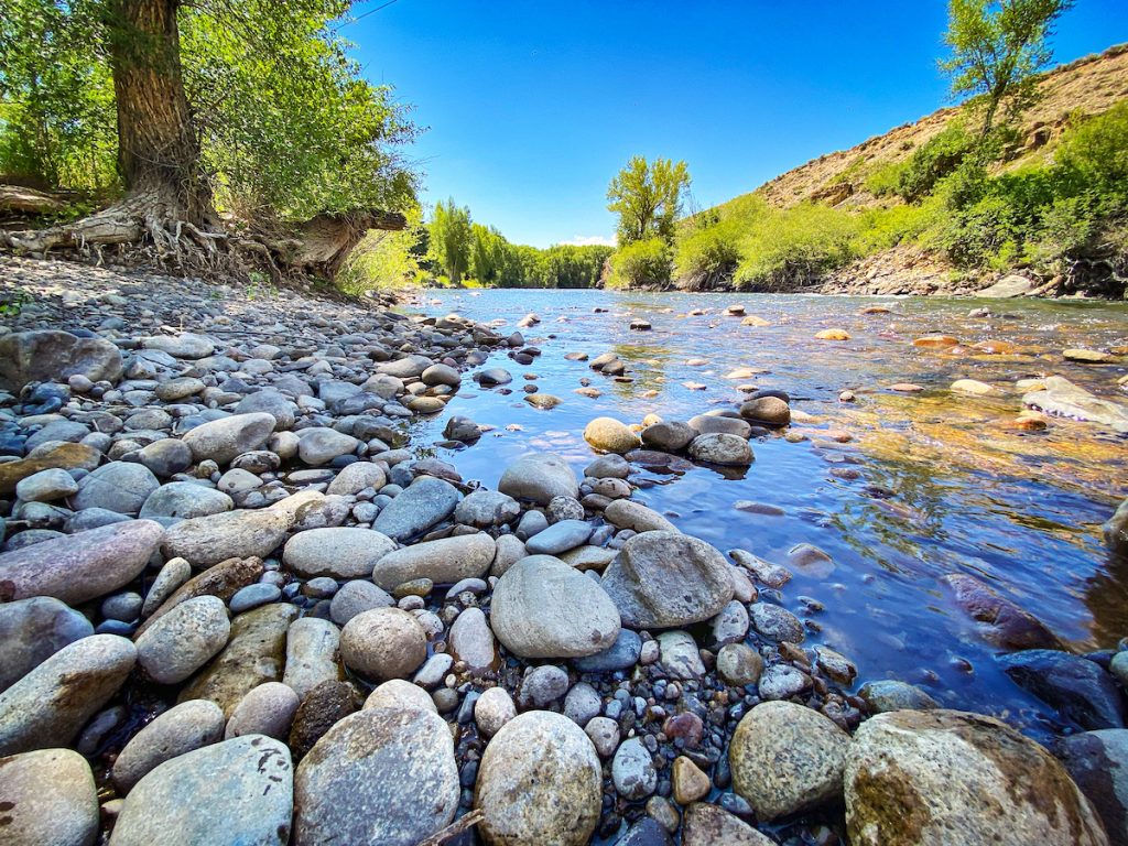 taylor-river-fly-fishing