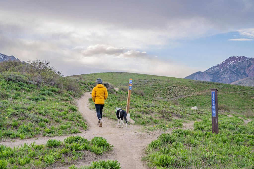 Teddy's Trail in Crested Butte. A woman and a dog walking on a trail.