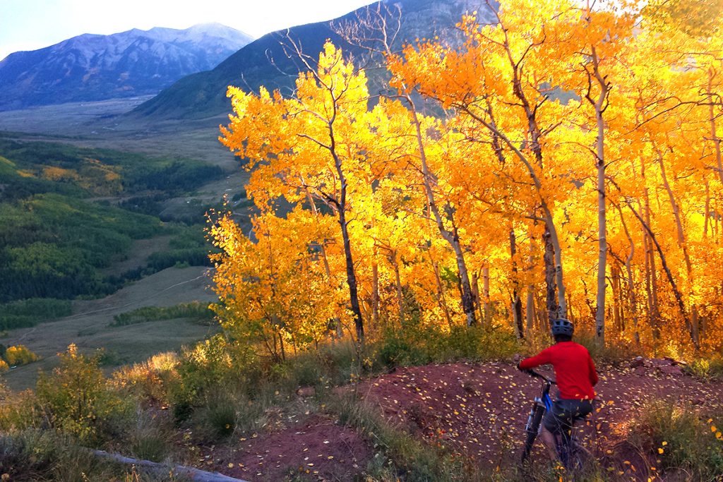 Teo Ridge Brush Creek Mountain Biking Trails | Crested Butte + Gunnison