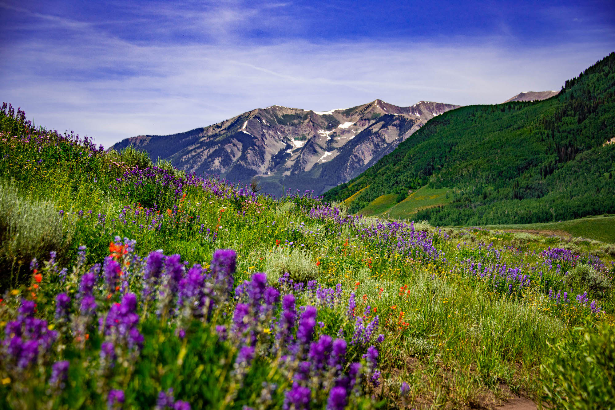 A mountain peak with wildflowers in the foreground. This view is from Teocalli Mountain.
