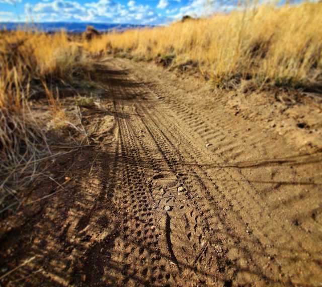 Photo of Footprint on a Trail