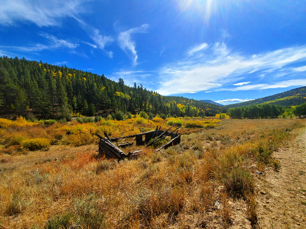 Historic old cabin during the fall season on waunita pass rd.