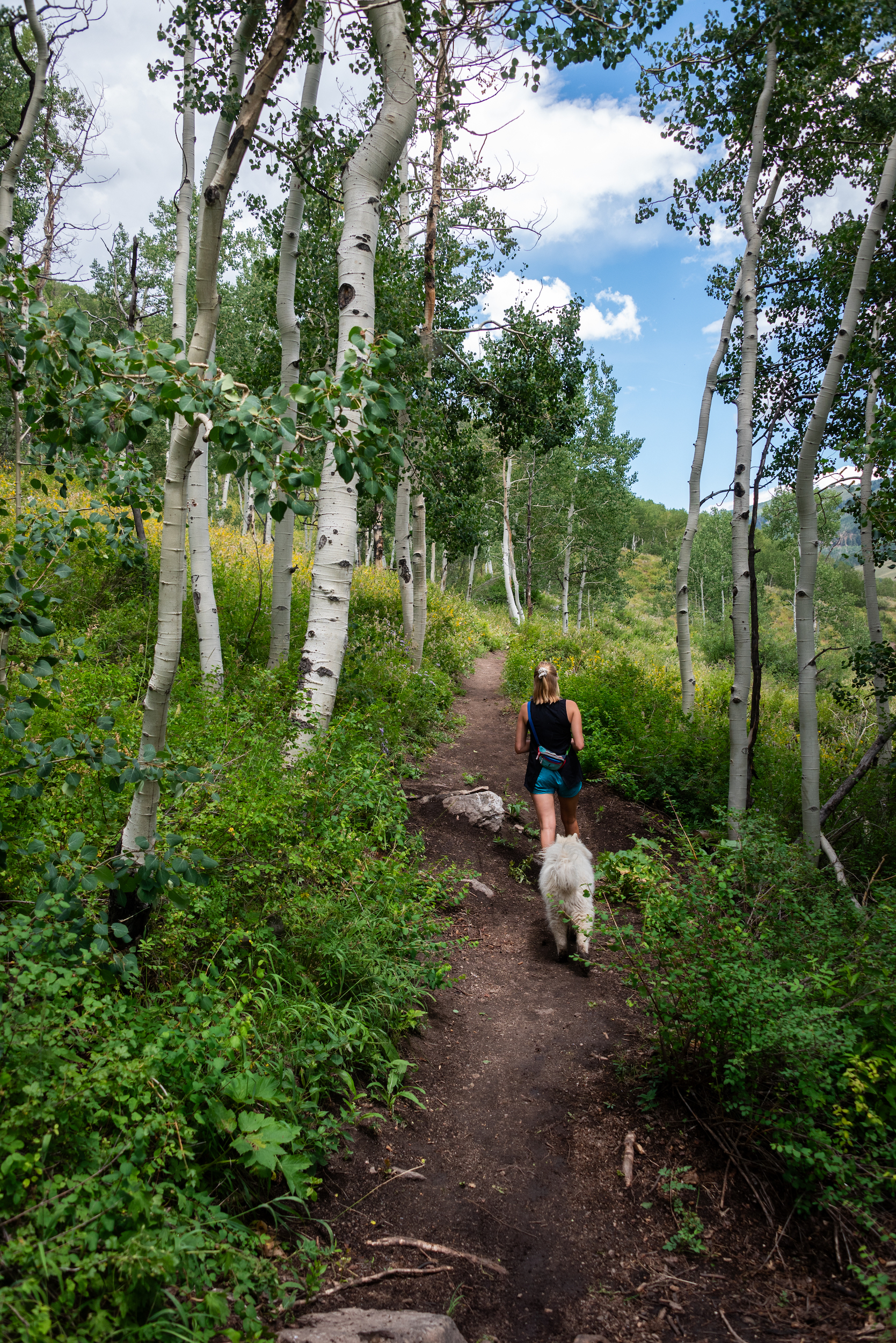 a woman hiking whetstone in crested butte with a dog