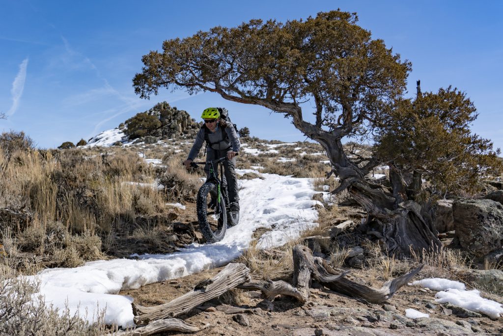 A person riding a bike with fat tires to ride in the snow rides under a tree on a trail covered in snow with rock formations in the background