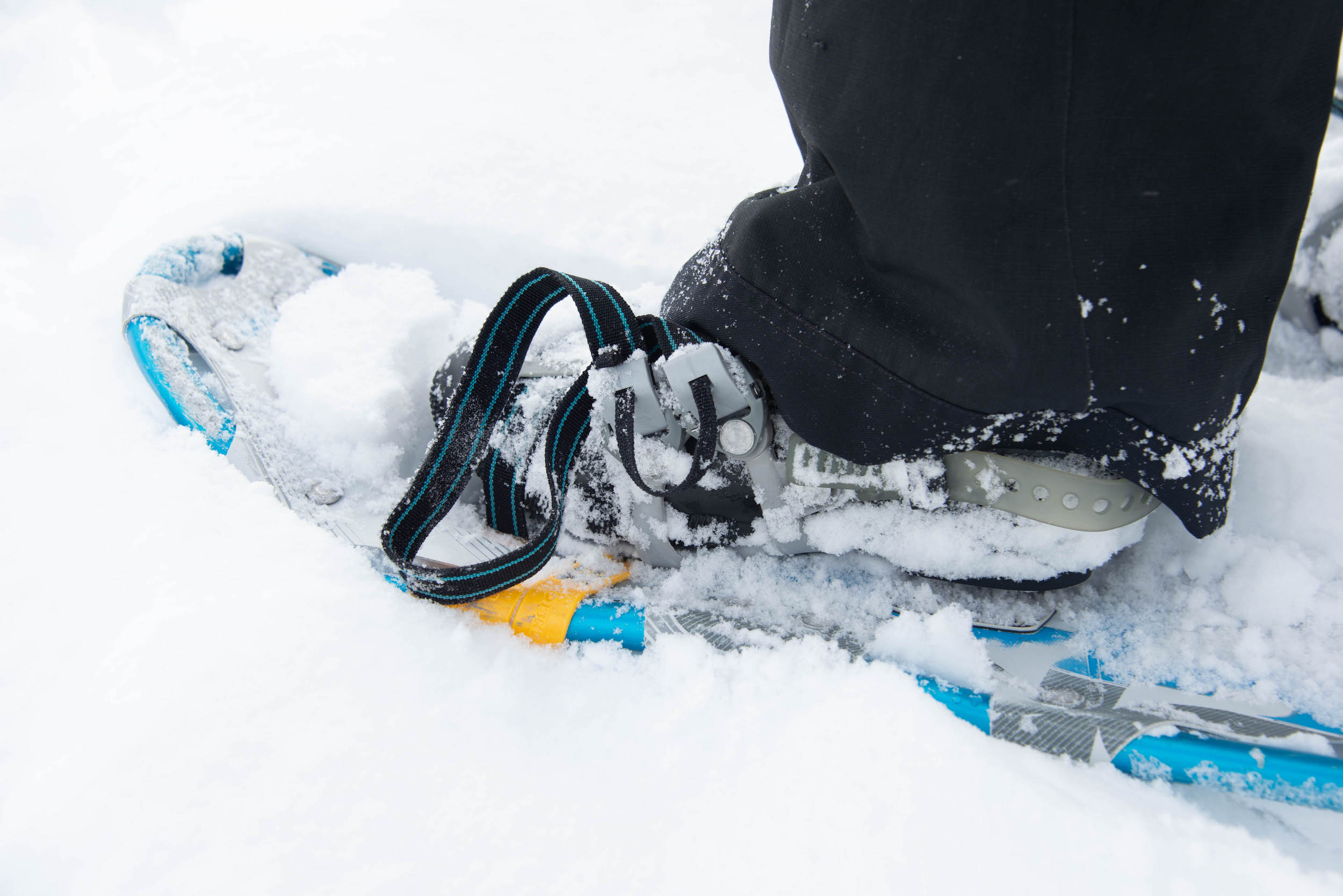 A closeup of a snowshoe for winter snowshoeing in Gunnison