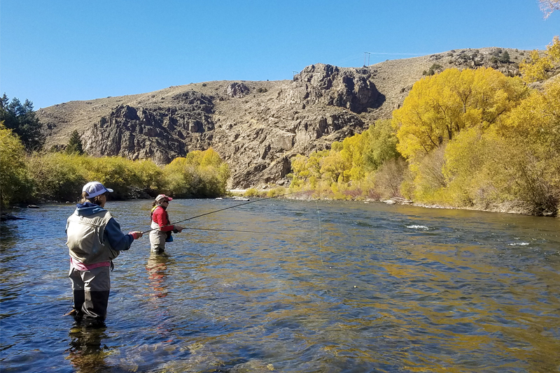 A Couple Fishing Together With A Rod By The Riverside Photo