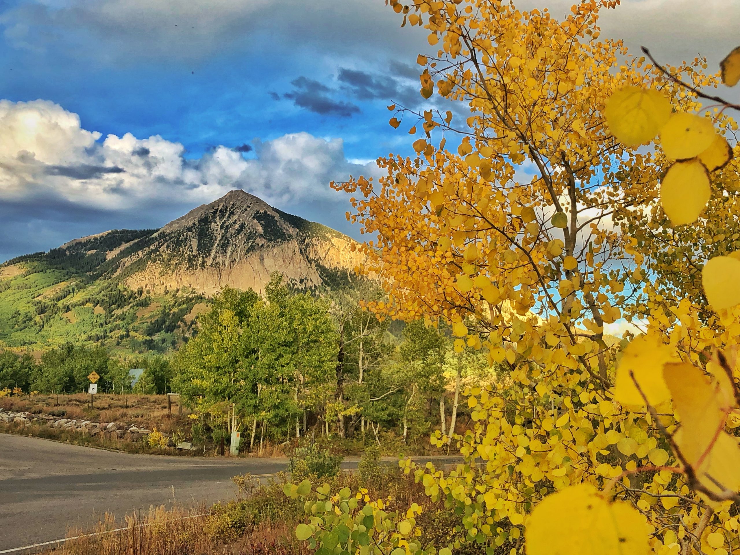 Trees in the foreground on a colorado fall weekend